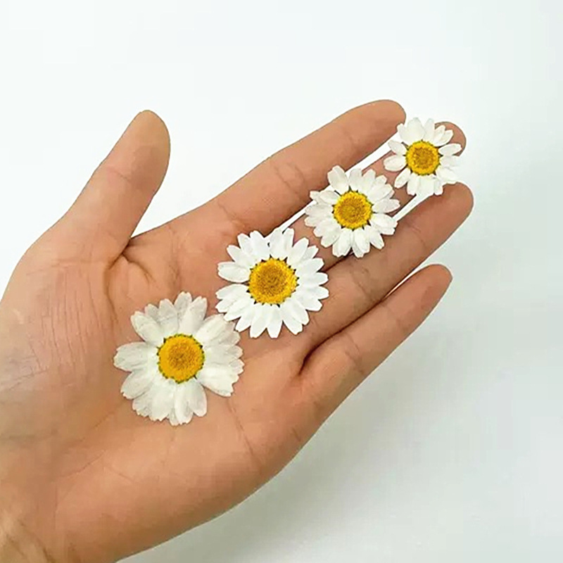100 шт. натуральных белых крис – обзор и цена Resin Art Phone Case