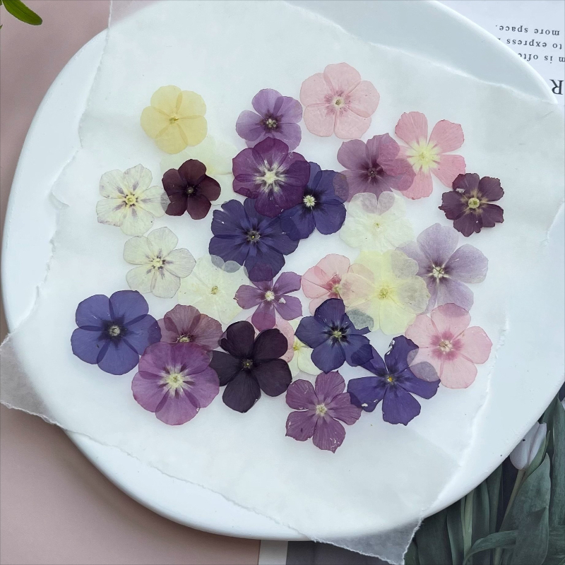 12 шт., полупрозрачные нишевые – обзор и цена Resin Art Phone Case